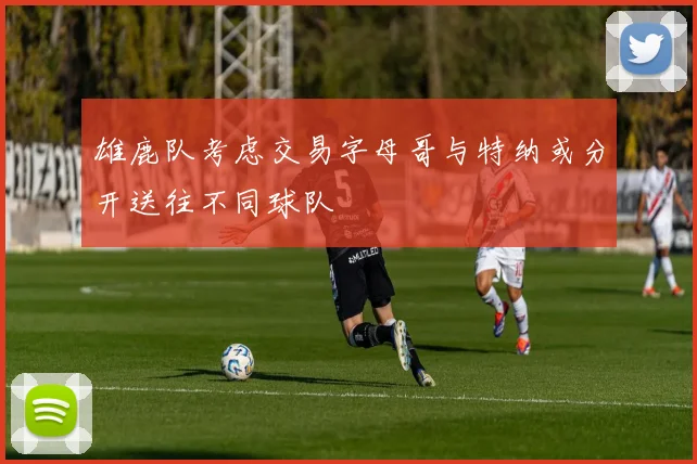 雄鹿队考虑交易字母哥与特纳或分开送往不同球队