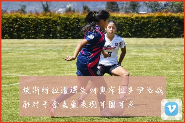 埃斯特拉遭遇失利奥布拉多伊洛战胜对手余嘉豪表现可圈可点